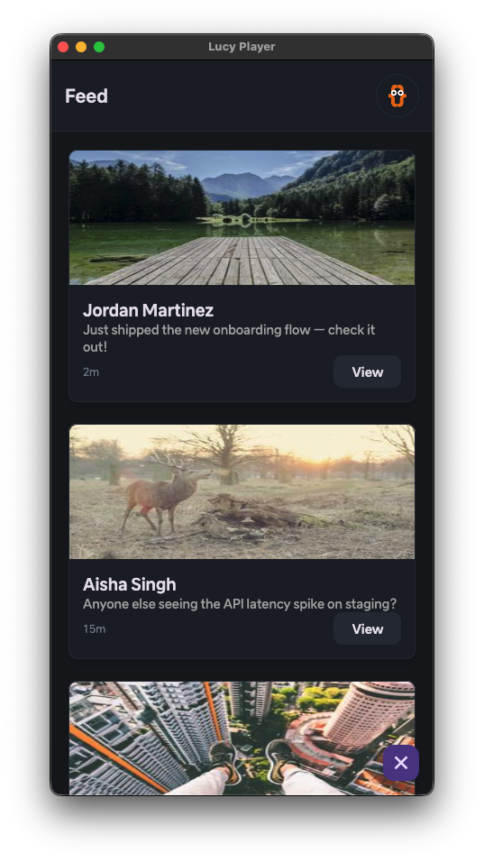 Feed example